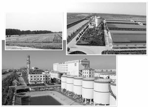 接二連三技術推廣助力中裕公司拉長產業鏈